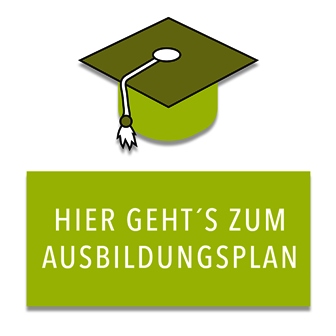Ausbildungsplan systemischen Berater IF Weinheim